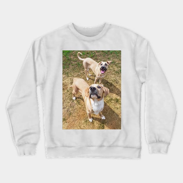 Two are better then one Crewneck Sweatshirt by PandLCreations